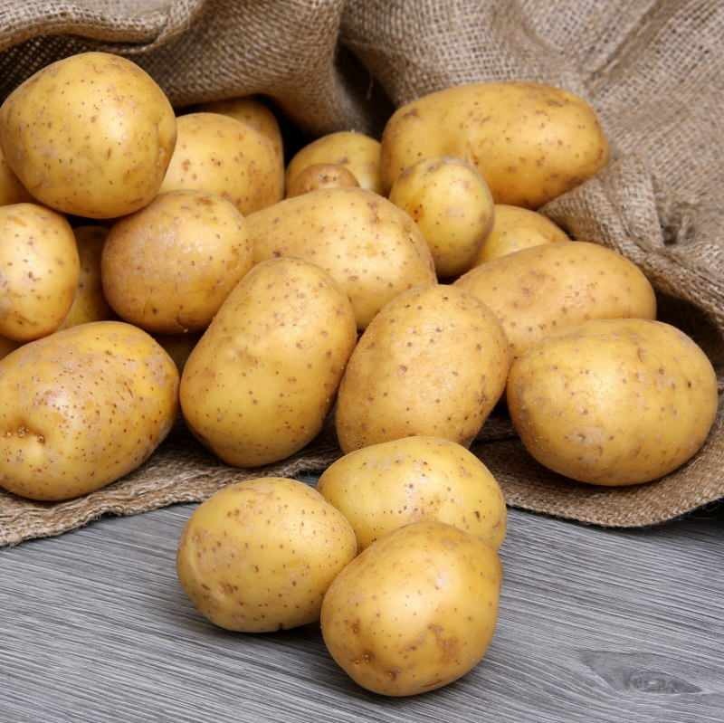 В чем разница между приготовлением картофеля и жареным картофелем