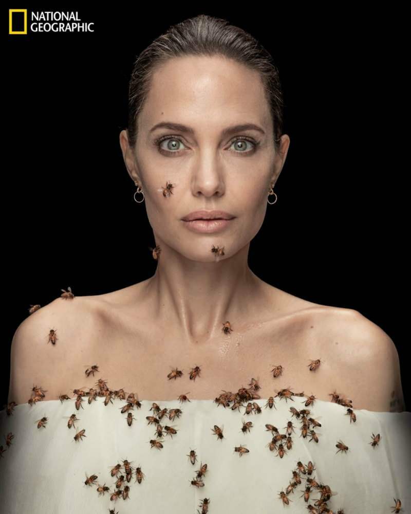 Анджелина Джоли в очках с пчелами для пчел!