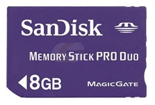 Карта памяти Dandisk 8GB