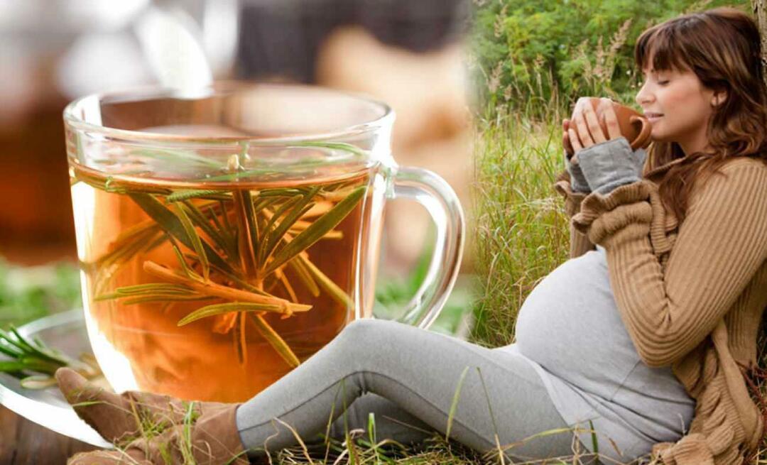 Можно ли беременным пить зимний чай? Какой чай пить при беременности? Зимние чаи для беременных
