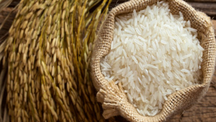 Как понять лучшее из риса? 