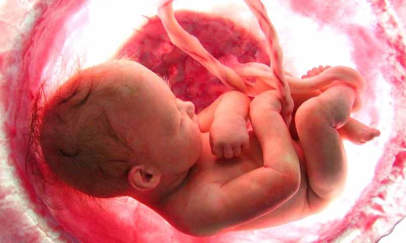 Рождение ребенка в утробе матери