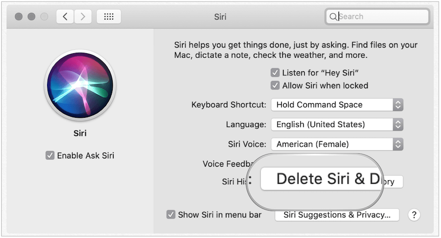 Удалить историю Siri на Mac