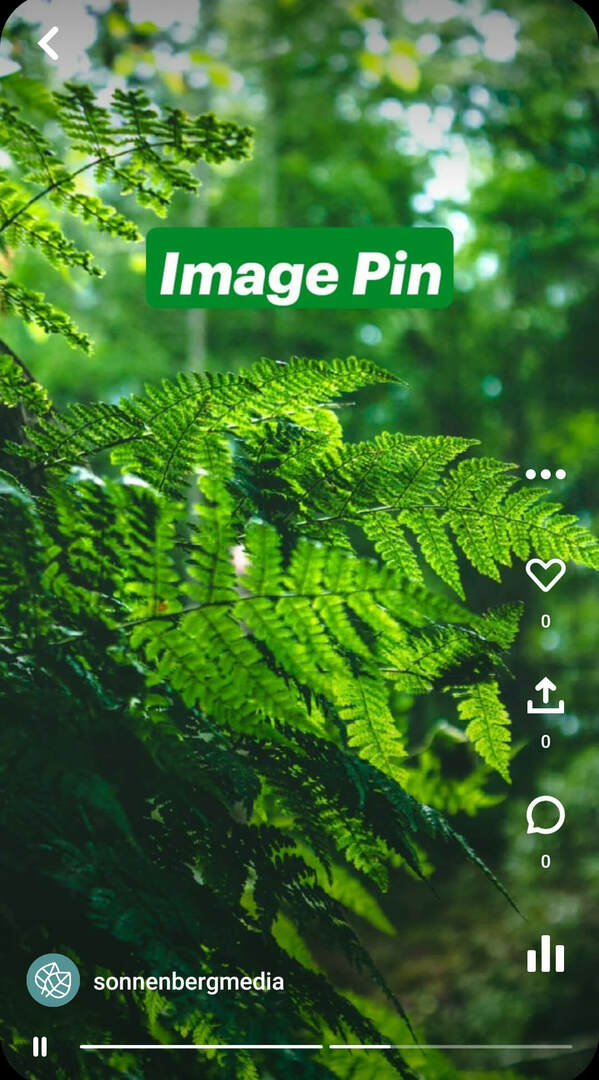 что такое pinterest-idea-pins-sonnenbergmedia-image-pin-example-2