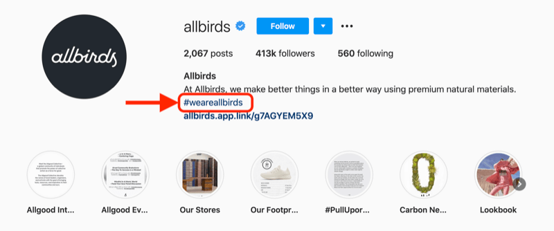 пример хэштега компании, включенного в описание профиля инстаграм-аккаунта @allbirds
