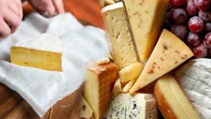 Как хранится сыр? Как следует ставить сыр в холодильник? Запах сыра