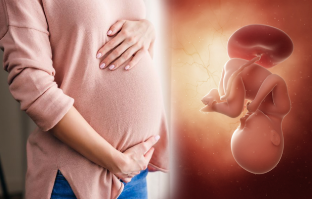 Каковы симптомы беременности? Ранние симптомы беременности