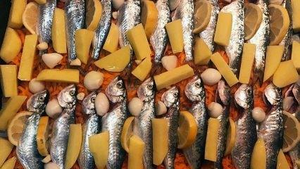 Как приготовить чинекоп? Самый простой способ приготовить рыбу чинакоп! Рецепт запеченного чинкопа