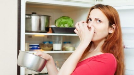 Способы избавления от неприятных запахов в холодильнике