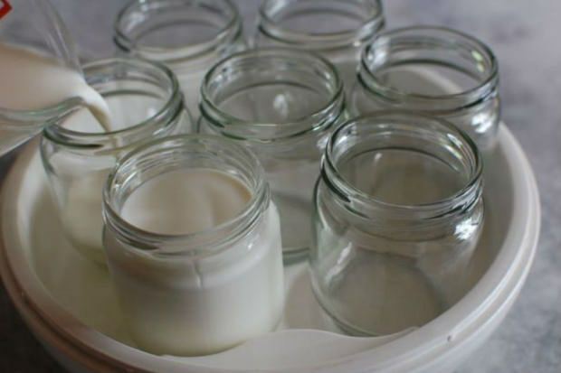 йогурт из деревенского молока