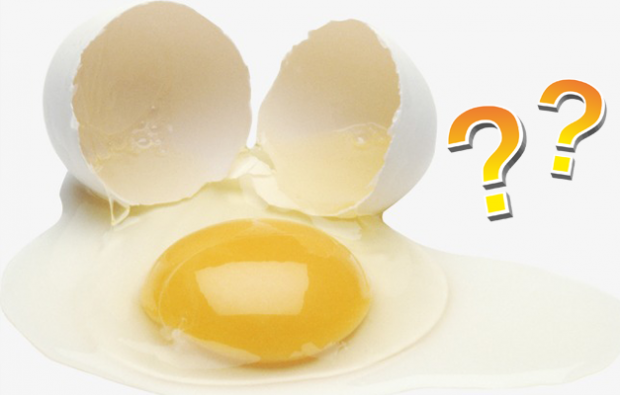 Полезен ли яичный желток или белый