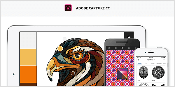 Adobe Capture создает палитру из изображения, которое вы снимаете с помощью мобильного устройства. На веб-сайте представлена ​​иллюстрация птицы и палитра, созданная из иллюстрации, которая включает светло-серый, желтый, оранжевый и красновато-коричневый цвета.