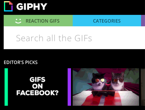 giphy на фейсбуке
