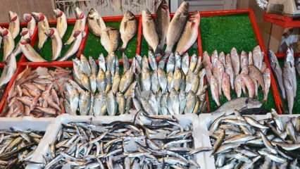 Как почистить торическую рыбу? Советы по чистке торической рыбы