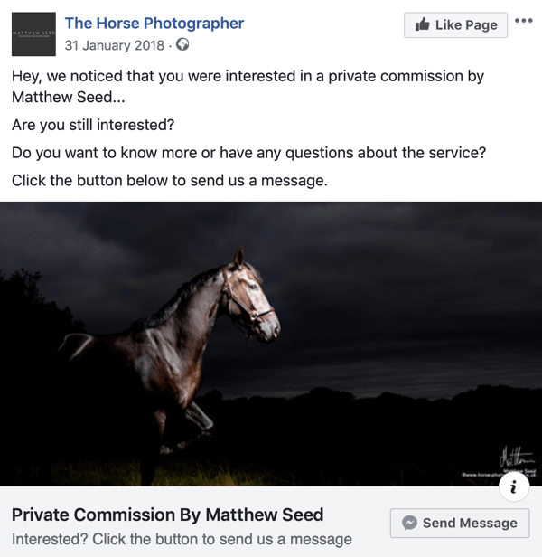 Как конвертировать посетителей сайта с помощью рекламы в Facebook Messenger, шаг 3, пример публикации от The Horse Photographer