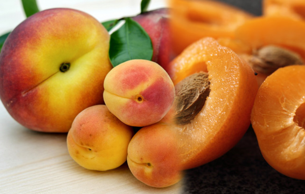 Как правильно составить абрикосовую диету?