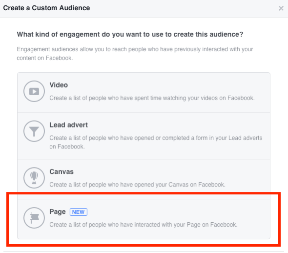 Выберите Страница в качестве типа взаимодействия, которое вы хотите использовать для создания своей индивидуальной аудитории Facebook.