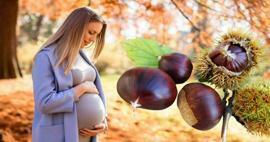 Можно ли беременным есть каштаны? Польза употребления каштанов во время беременности для ребенка и матери