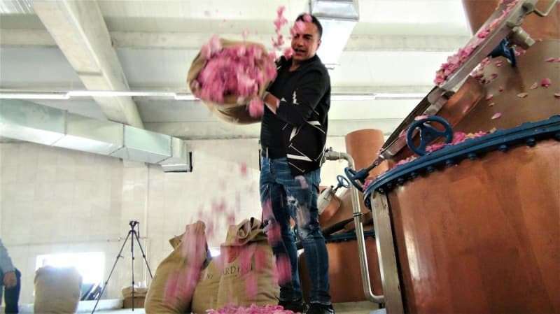 Бердан Мардини основал фабрику розового масла в своем родном городе!