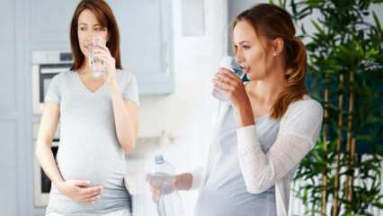 Польза питьевой воды для беременных! Сколько воды нужно употреблять в день во время беременности? 