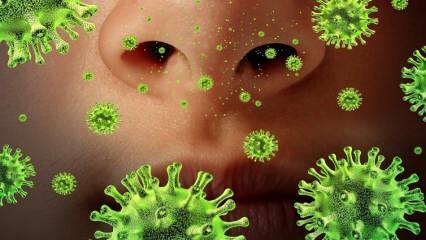 Возрождение: что такое вирус Sars и каковы его симптомы? Как передается вирус Sars?