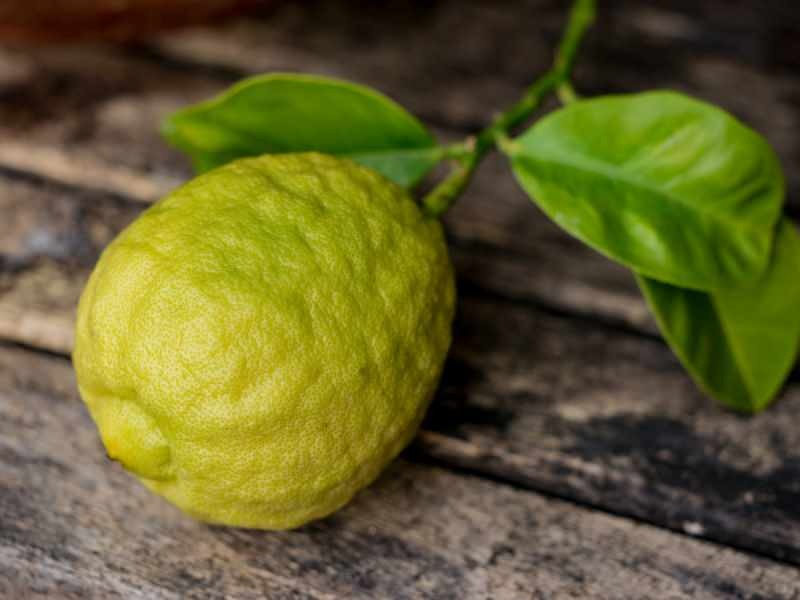 По внешнему виду бергамот похож на лимон