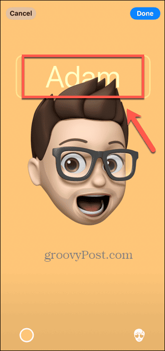 ios Контактный плакат с именем Memoji