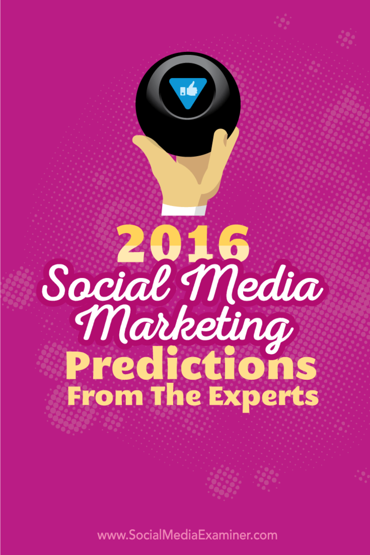 Прогнозы экспертов по маркетингу в социальных сетях на 2016 год: специалист по социальным медиа