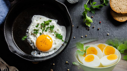 Что такое диета на вареных яйцах? Яичная диета, при которой вы теряете 12 килограммов в неделю