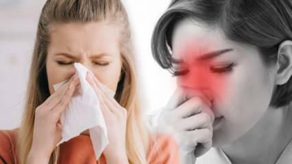 Что такое аллергический ринит? Каковы симптомы аллергического ринита? Есть ли лечение аллергического ринита?