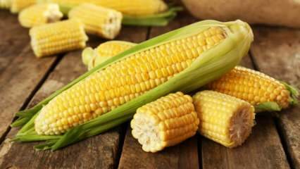 Каков вред кукурузы?