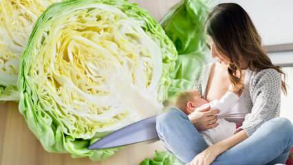 Капуста делает газ у кормящей матери и ребенка? Могут ли кормящие матери пить капустный сок? 