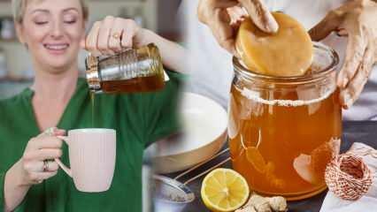 Чай из чайного гриба ослабляет? Как приготовить чайный гриб для похудения? Польза чая комбуча