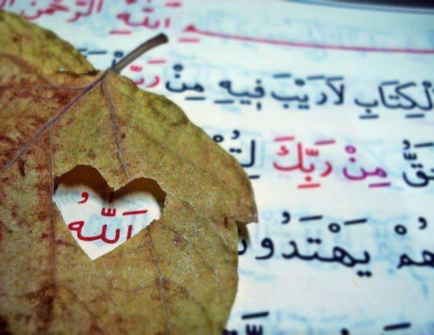 Чтение суры Ясин на арабском языке