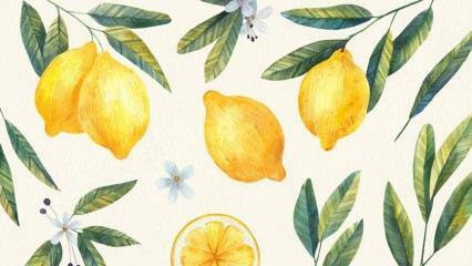 Лучшие рецепты с лимоном! Самый простой рецепт лимонного десерта