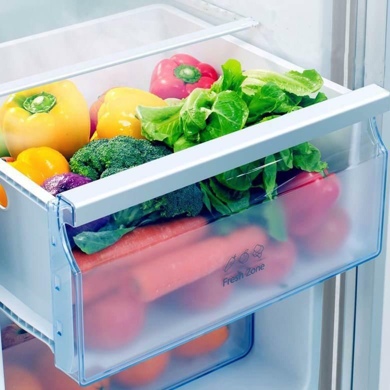 Особенности холодильника No Frost