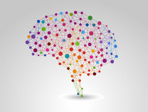 Shutterstock изображение мозга 130952750