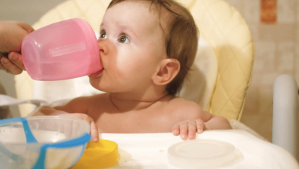 Когда детям дают воду? Подается ли вода ребенку при переходе на прикорм?