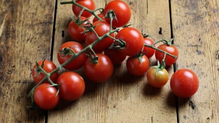 Как предотвратить томатную гниль? Как предотвратить томатную моли? 