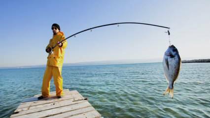 Как ловить рыбу? Какие хитрости ловли на удочку?
