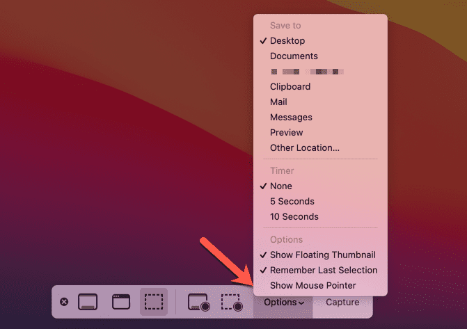 Параметры панели снимков экрана Mac