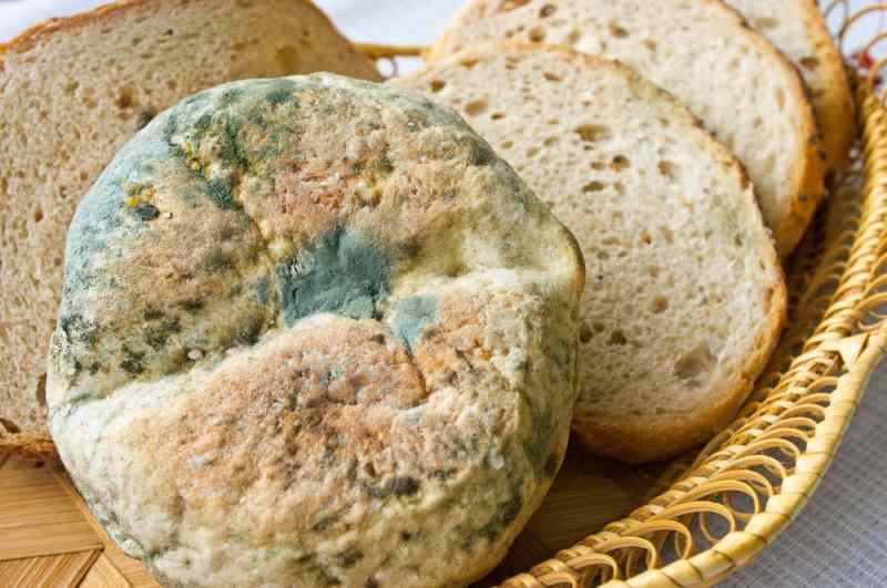 Способы предотвратить черствый и заплесневелый хлеб