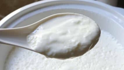Какой самый простой способ заваривать йогурт? Делаем йогурт как камень дома! Польза домашнего йогурта