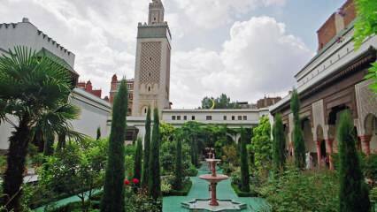 Мечети и исламские памятники Европы: экскурсионные маршруты для консервативных семей
