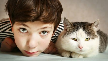 Каково влияние домашних животных на детей?