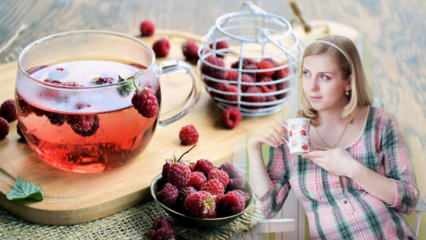 Чай, облегчающий роды: Малина! Польза малинового чая для беременных