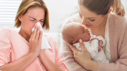 Как грипп проходит у кормящих матерей? Самые эффективные травяные растворы от гриппа для кормящих мам