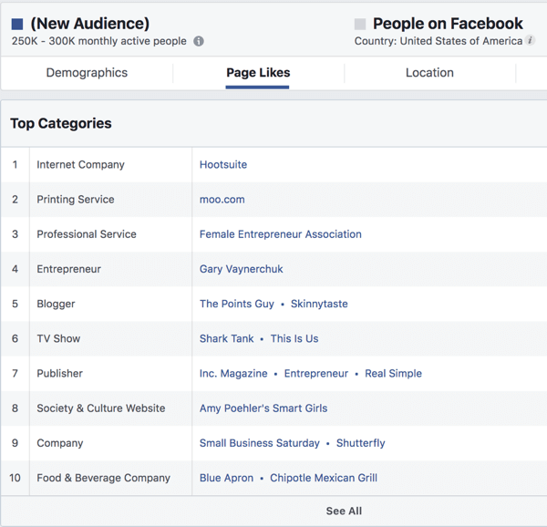 Страницы лайков для аудитории по интересам в Facebook Ads Manager.