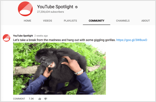 Сообщение на вкладке сообщества канала YouTube