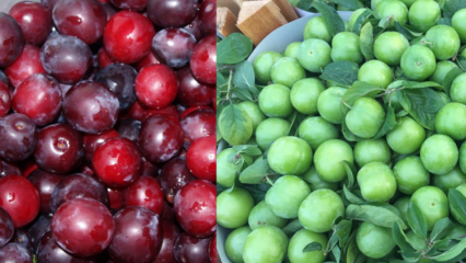 Каковы преимущества зеленой и красной вишни? Что делает сок красной алычи?